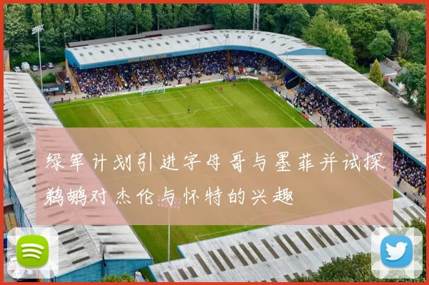 绿军计划引进字母哥与墨菲并试探鹈鹕对杰伦与怀特的兴趣