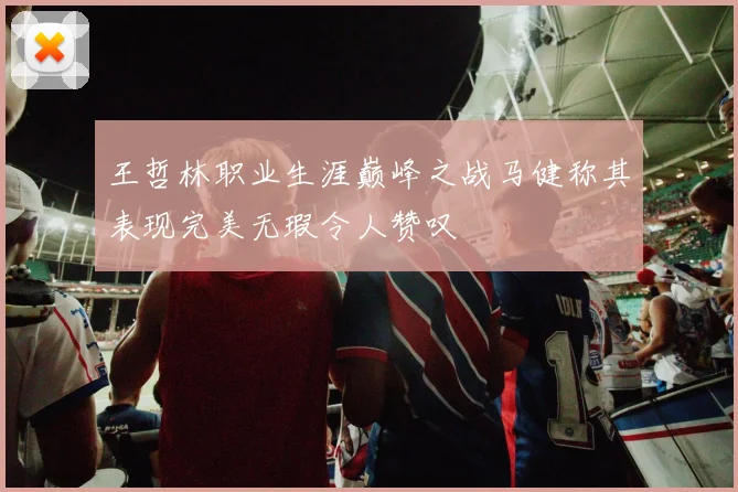 王哲林职业生涯巅峰之战马健称其表现完美无瑕令人赞叹