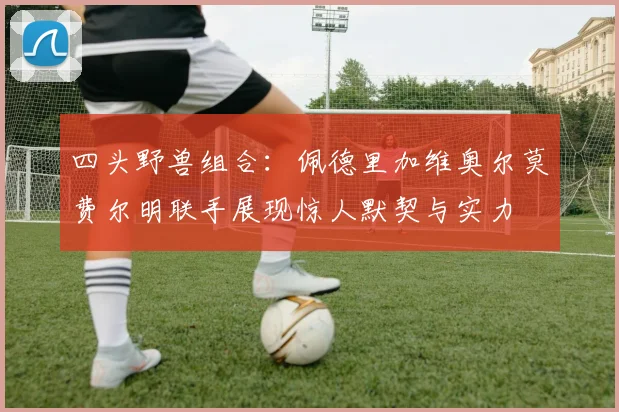 四头野兽组合：佩德里加维奥尔莫费尔明联手展现惊人默契与实力